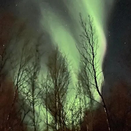 Stor I Olderfjord Hotell