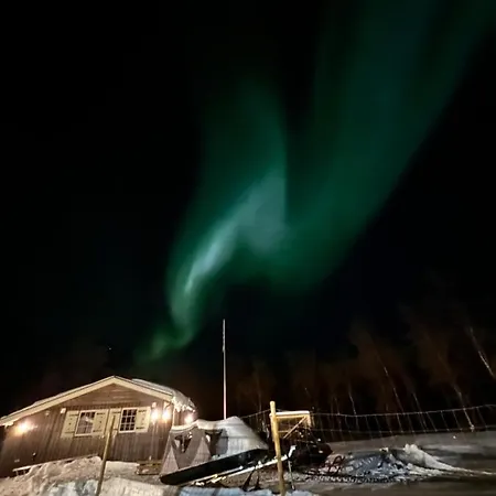 Stor I Olderfjord 3*